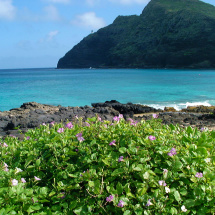 Makapu&#039;u Beach in Hawaii