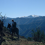 horseback riding on the mountain